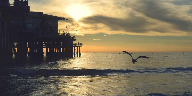 从白酒到威士忌：自然酒如何以低干预酿造法重塑品酒文化的纯粹与风味