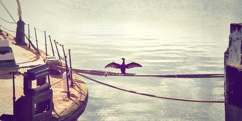 从苏格兰岛屿到日本特色：单一麦芽威士忌产区风土与品酒文化的深度解析