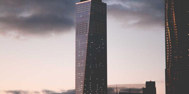 有机与生物动力法葡萄酒：品酒文化中的认证标准与风味真实性探讨