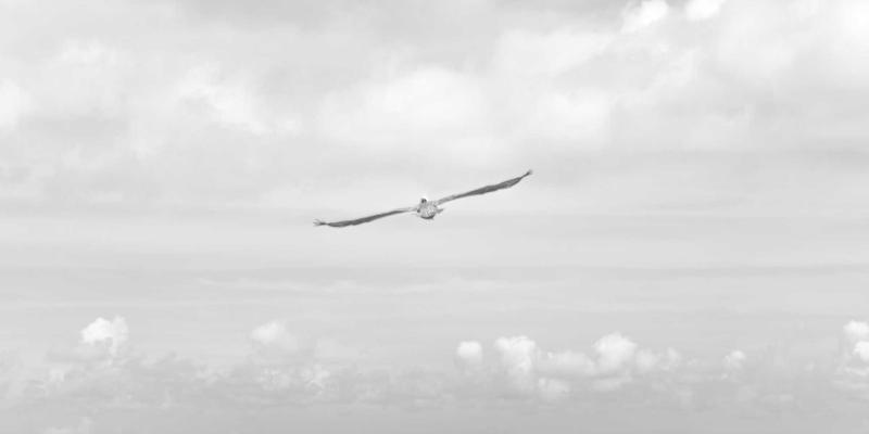 朗姆酒陈年环境的影响：热带陈年与大陆陈年的科学差异 | 酒类资讯