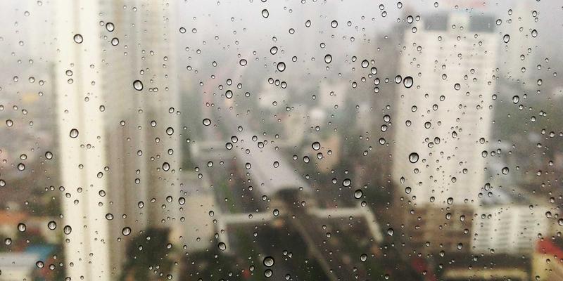 白酒品鉴完全指南:从入门到精通的感官探索之旅