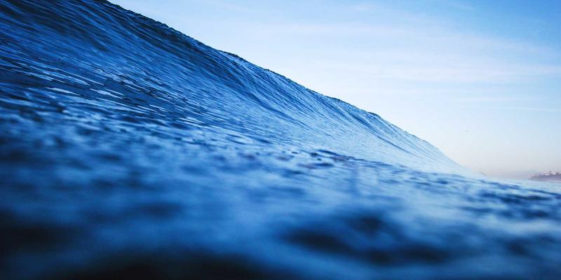 精酿啤酒花品种大全：从白酒与威士忌视角解读酒花的香气与风味特征