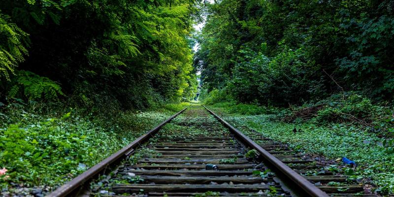 自然酒运动背后的哲学：低干预酿造如何重塑葡萄酒世界