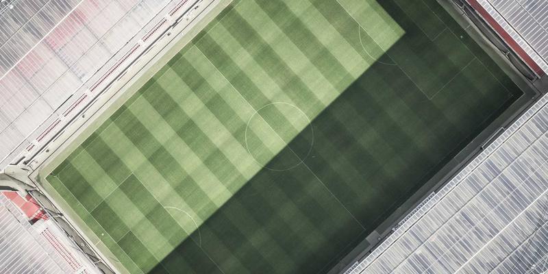 葡萄酒与白酒品鉴指南:从入门到精通的感官之旅